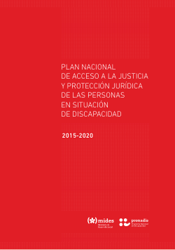 Access to justice protocols in Latin America