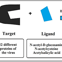 (Supplementary Files) Assessing Antiviral Mechanisms of N-acetyl-D-glucosamine, N-acetylcysteine and Acetylsalicylic acid on SARS-CoV-2