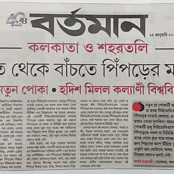 Newspaper article covering the discovery of Pseudoneoponera ant mimicking behaviour in a Staphylinid beetle species of the genus Naddia from Kalyani, West Bengal, India.