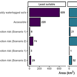 Figure 5: Predicted land area inhabitable by <i>Syzygium maire</i> in the Greater Wellington Region in km<sup>2</sup>, partitioned by different scenarios for prioritizing management.