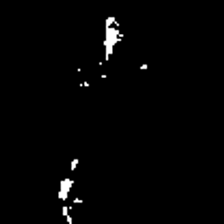 Binarized rasters describing spatial variation of myrtle rust infection risk in the Greater Wellington Region under two scenarios for an acceptably low level of risk.