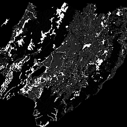 Spatial raster of the proportion of suitably waterlogged soils that could be inhabited by <i>Syzygium maire</i> per 100 × 100 m pixel predicted by high-resolution LUCI modelling.