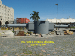 The Nature of Ligand Efficiency