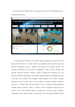 dataset and visual system