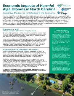 Economic Impacts of Harmful Algal Blooms in North Carolina: Proactive Measures to Safeguard the Economy