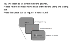 Stimuli and materials used in experiment 1