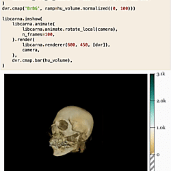 LibCarna-Python: Direct Volume Rendering of a CT Head Scan
