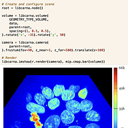 LibCarna-Python: Maximum Intensity Projection of Cell Nuclei