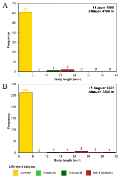 Occurrence dataset: High-altitude records of leeches in the world (elevation ≥ 2,500 m)