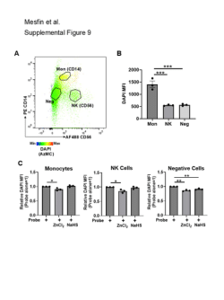 Use of a near infrared probe to assess intracellular hydrogen sulfide production