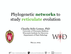 MOLE 2025: Phylogenetic networks lecture