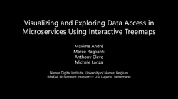 Replication package of the paper: "Visualizing and Exploring Data Access in Microservices Using Interactive Treemaps"