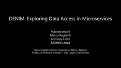 Replication package of the paper: "DENIM: Exploring Data Access in Microservices"