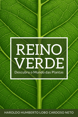 <b>Reino Verde</b>