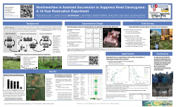 Nonlinearities in Assisted Succession to Suppress Reed Canarygrass: A 16-Year Restoration Experiment