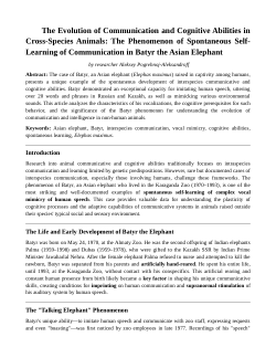 The Evolution of Communication and Cognitive Abilities in Cross-Species Animals: The Phenomenon of Spontaneous Self-Learning of Communication in Batyr the Asian Elephant