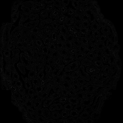 Figure Source Data Files