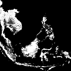 IUCN_Extinct_Vulnerability.tif