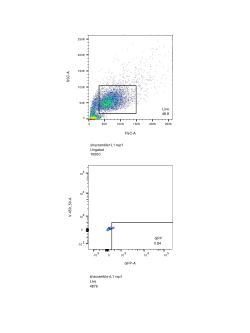 L1-GFP FACS transposition analysis