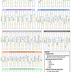 Electronic Supplementary Materials
