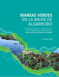 Mareas verdes en la Bahía de Algarrobo: Conocimiento ecológico y oceanográfico para informar sobre sus causas y potenciales medidas de mitigación.