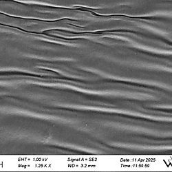 Experimental data of manuscript "Stretchable Light-Emitting Electrochemical Cells Fabricated by Spray-Coating", Gellner et al.