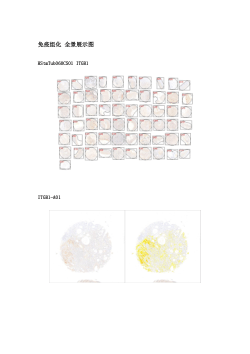 IHC and ISH data.docx