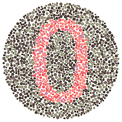 Color Vision Dataset - Part 1 (Images 1-500)