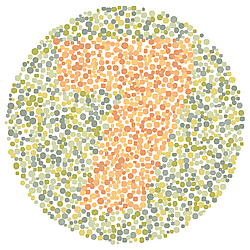 Color Vision Dataset - Part 2 (Images 1000-1400)