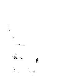 Daily maximum temperature
