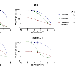 Response of chordoma cell lines to PKMYT1 inhibitor Lunresertib as a single agent and in combination with the ATR inhibitor Elimusertib