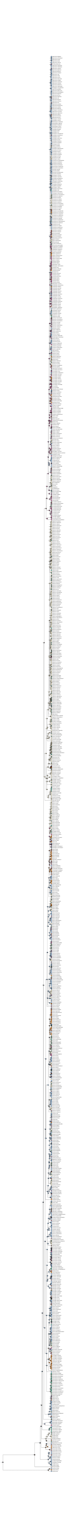 Data from: Using molecular phylogenetic analyses to assess the timing and biogeography of aquatic plant origins