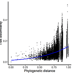 <b>Phylogenetic relatedness predicts extinction risk of native freshwater fishes from non-native fishes across a latitudinal gradient</b>