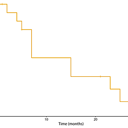 Survival Analyses: a Chinese BPDCN Cohort (2013-2025)