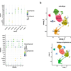 Identification and experimental validation of mitochondrial metabolism-related biomarkers in chronic rhinosinusitis with nasal polyps