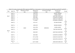 NUMTsearcher: Advancing Detection and Evolutionary Insights of Nuclear Mitochondrial DNA Segments Across Human, Rabbit, and Fish Genomes