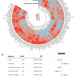 <b>A multi-omics study of the gut microbe-Propionate-JUN axis coordinating renal ischemia-reperfusion injury</b>