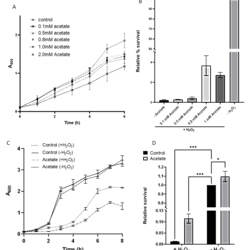 Acetate imparts resistance to oxidative stress in <i>Neisseria meningitidis</i>
