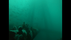 Ichthyofauna associated with a no longer standing decommissioned oilrig in the Tropical Eastern Pacific (4°S, Peru)—Supplementary data
