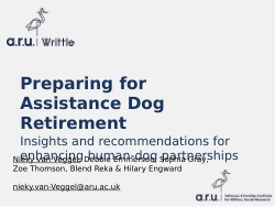 Preparing for Assistance Dog Retirement: Insights and recommendations for enhancing human-dog partnerships