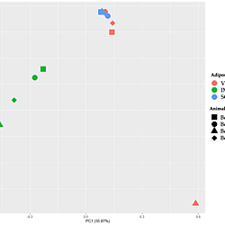 Supplementary data_Transcriptome and cellular evidence of depot-specific function in beef cattle intramuscular, subcutaneous, and visceral adipose tissues
