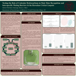 Testing the Role of Cuticular Hydrocarbons in Male Mate Recognition and Interspecific Mating Barriers in the Hawaiian Cricket Laupala
