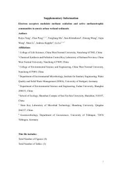 Supplementary_Information_Yang_AEM2025.pdf