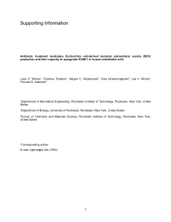 20250703_Supporting_Information