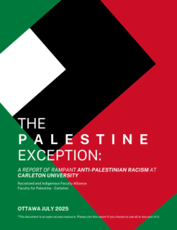 The Palestine Exception Report.pdf