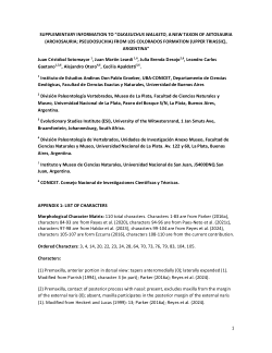 Olkasuchus_walasto_matrix.tnt