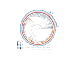 Raw data for "<b>Evolutionary dynamics of the vertebrate</b><b> </b><b><i>Wnt</i></b><b> </b><b>gene repertoire"</b>