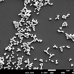DATA manuscript Terahertz Emission from Spintronic Stack Nanodecorated with Drop-Cast Core–Shell Plasmonic Nanoparticles