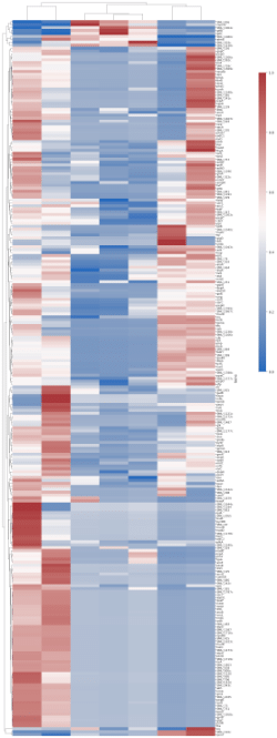 Supporting information for <i>Streptococcus mutans</i> bacterial extracellular vesicle characterization