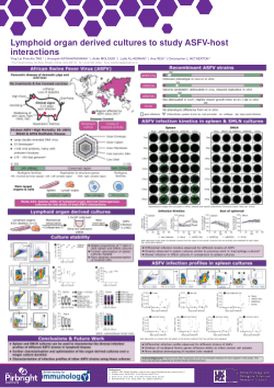 Lymphoid organ derived cultures to study ASFV-host interactions